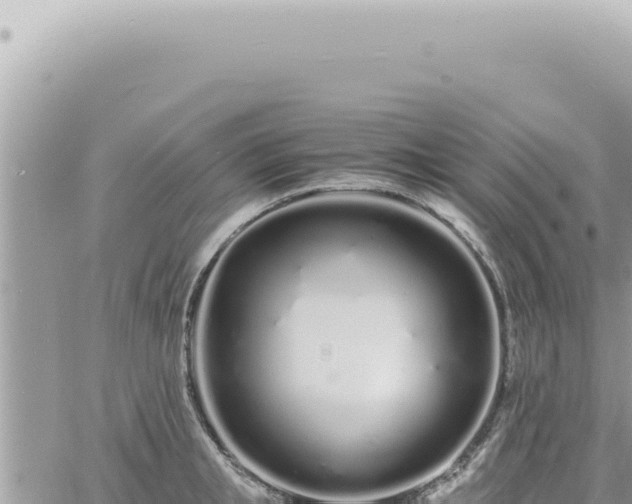 X0000060770853200511171211