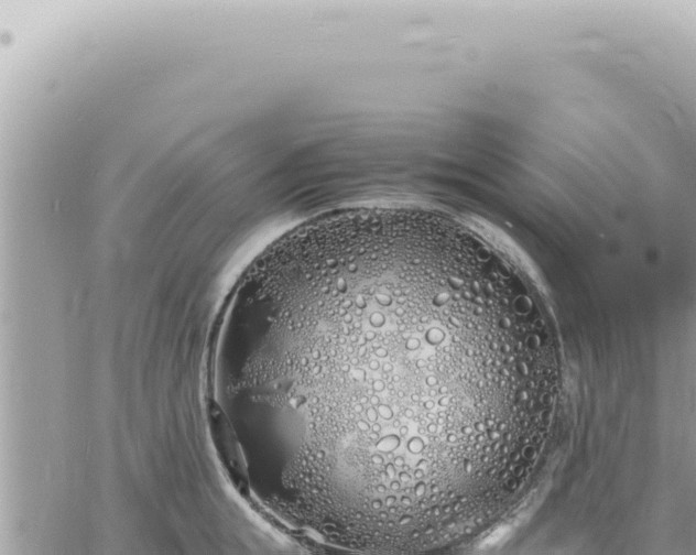 X0000060770855200511171211