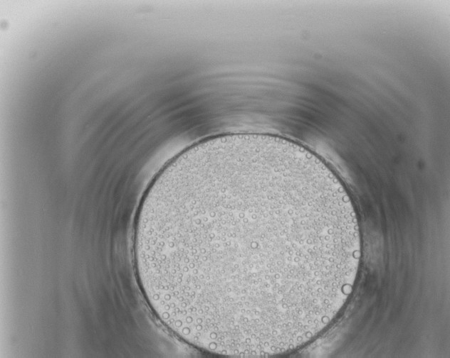 X0000060770856200511171211