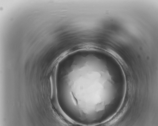 X0000060770857200511171211