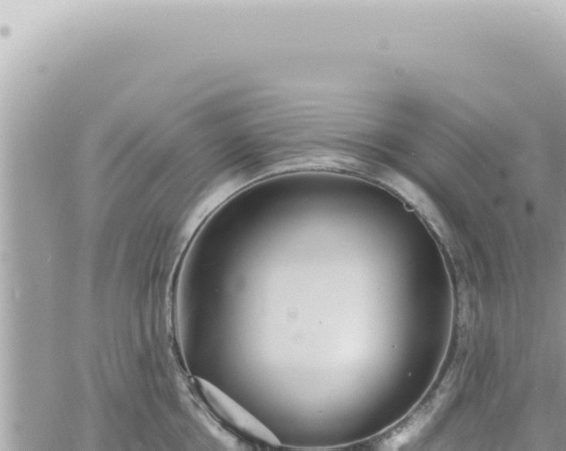 X0000060770858200511171211