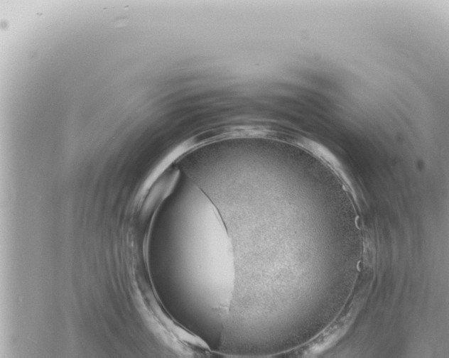 X0000060770859200511171211