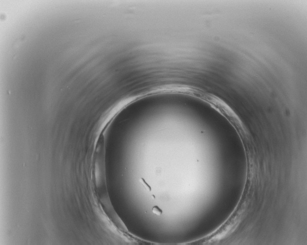 X0000060770860200511171211