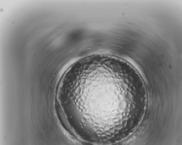 X0000060770861200511171211