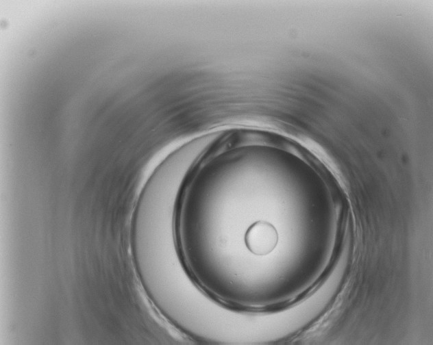 X0000060770862200511171211