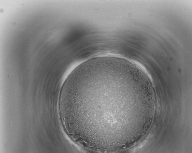 X0000060770863200511171211