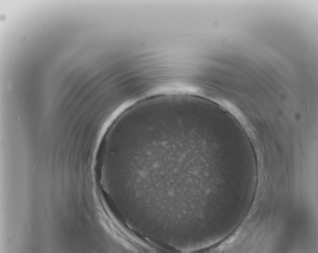 X0000060770864200511171211