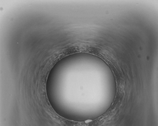 X0000060770865200511171211