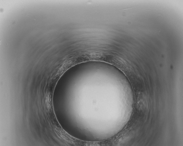 X0000060770866200511171211