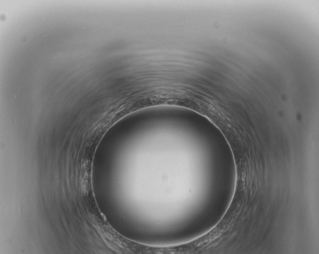 X0000060770868200511171211