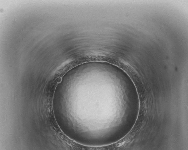 X0000060770870200511171211