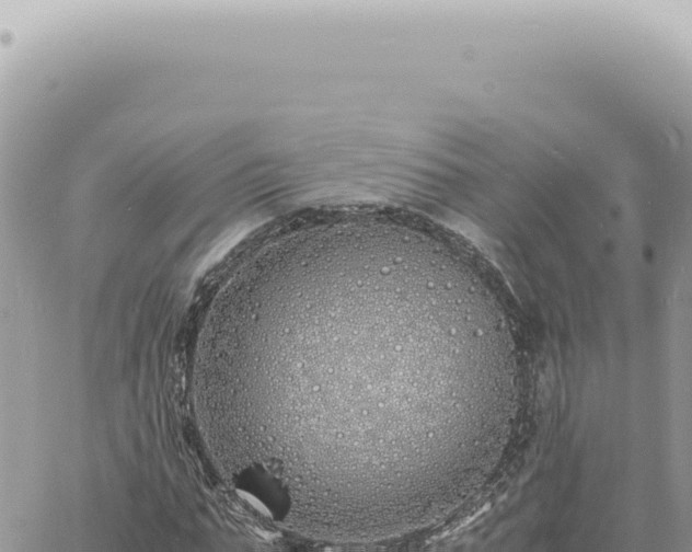 X0000060770871200511171211