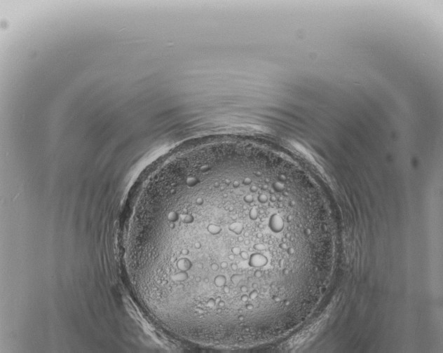 X0000060770875200511171210