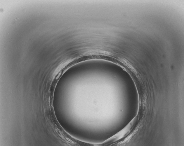 X0000060770877200511171210