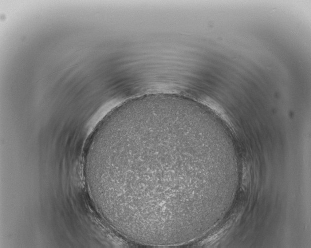 X0000060770878200511171210