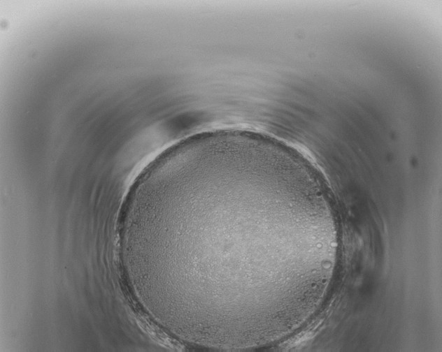 X0000060770879200511171210