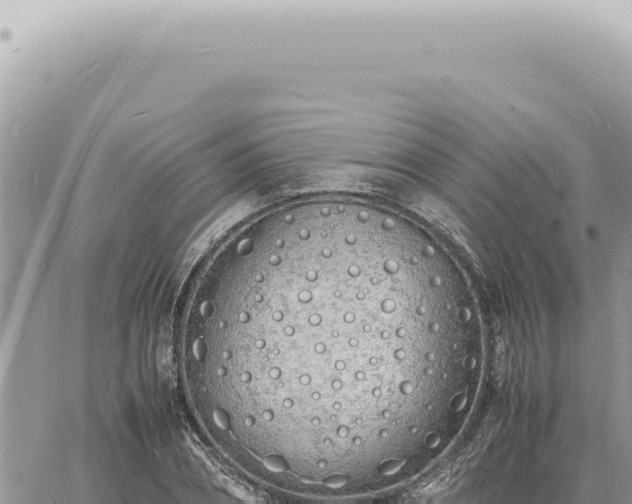 X0000060770882200511171210