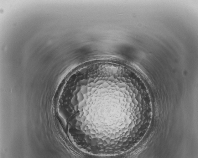 X0000060770883200511171210