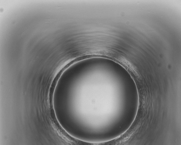 X0000060770884200511171210