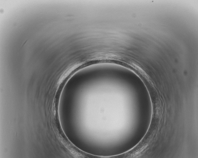 X0000060770885200511171210