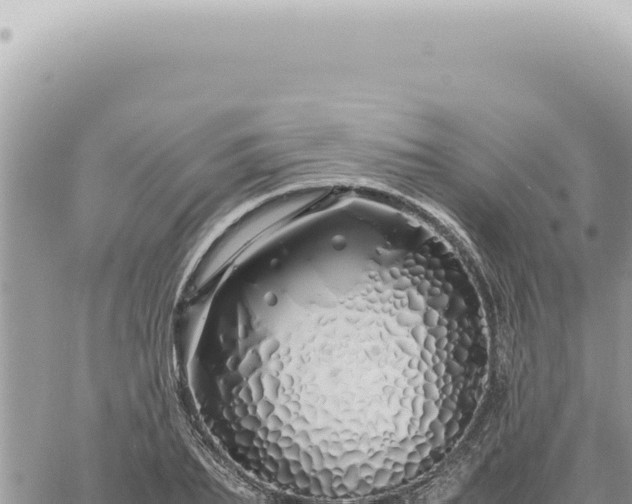 X0000060770887200511171210