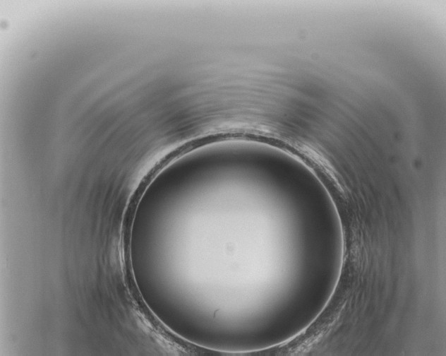 X0000060770888200511171210