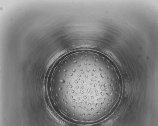 X0000060770890200511171210