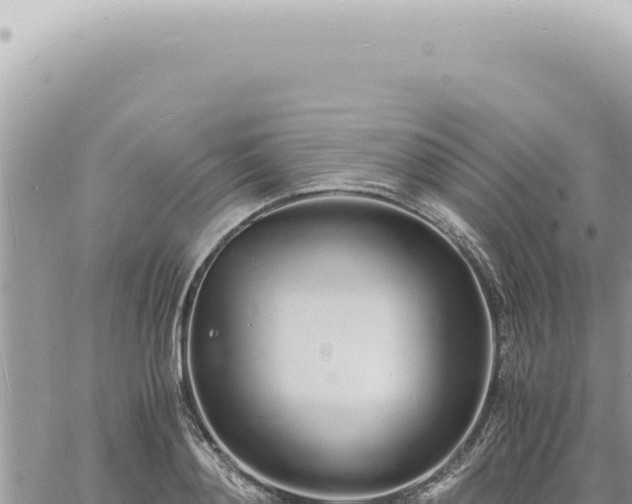 X0000060770892200511171210