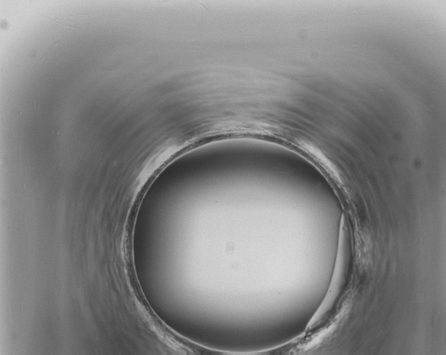 X0000060770893200511171210