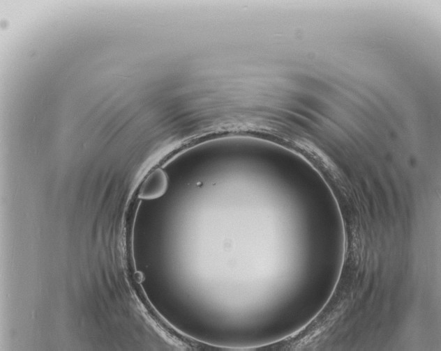 X0000060770894200511171210