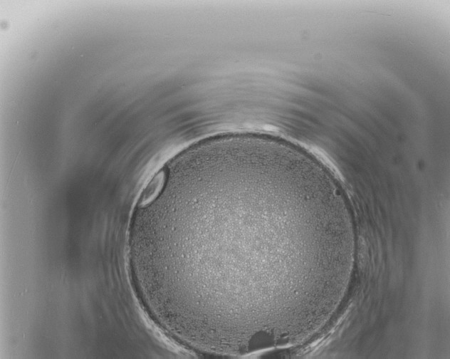 X0000060770895200511171210