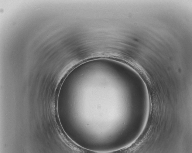 X0000060770896200511171210