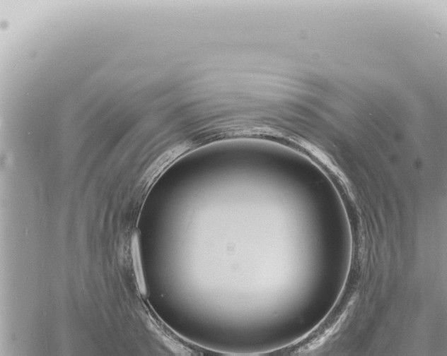 X0000060770897200511171210