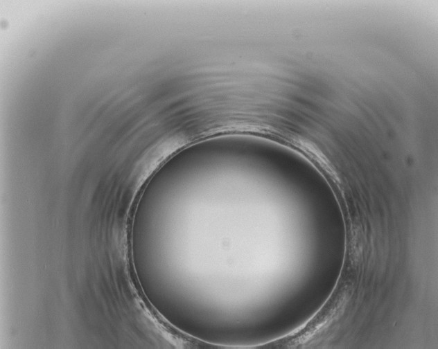 X0000060770898200511171210