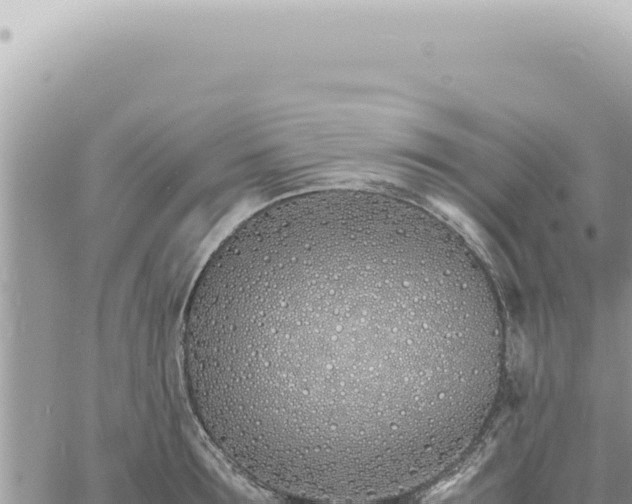 X0000060770899200511171210