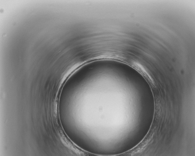 X0000060770900200511171210