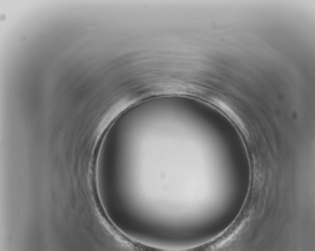 X0000060770901200511171210