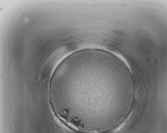 X0000060770903200511171210