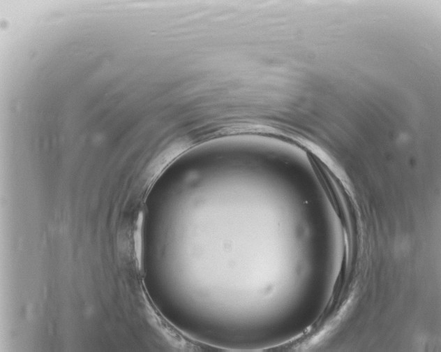 X0000060770905200511171210