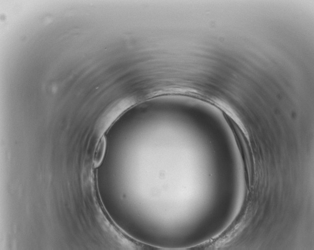 X0000060770906200511171210