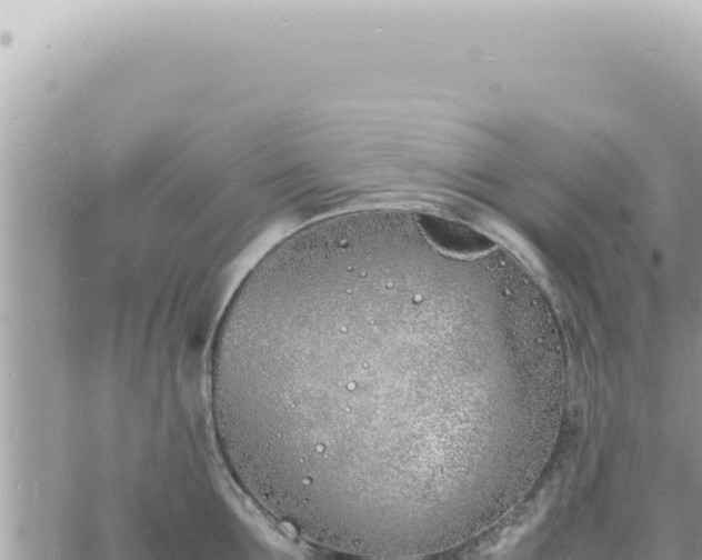 X0000060770907200511171210