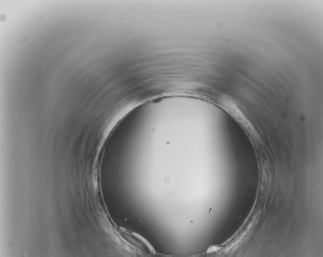 X0000060770908200511171210