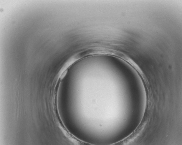 X0000060770909200511171210