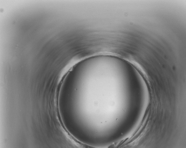 X0000060770910200511171210