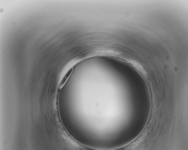 X0000060770912200511171210