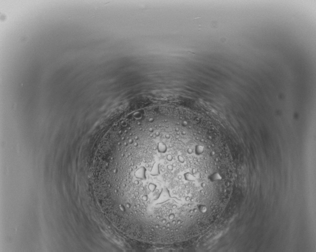 X0000060770913200511171209