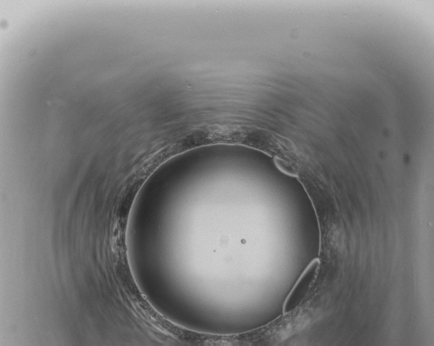 X0000060770914200511171209