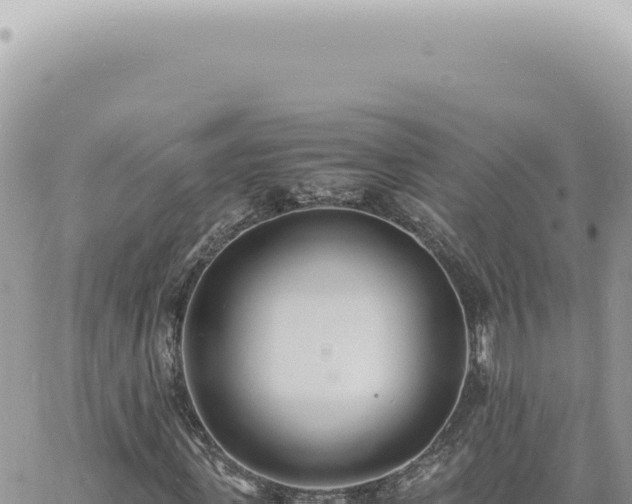 X0000060770915200511171209