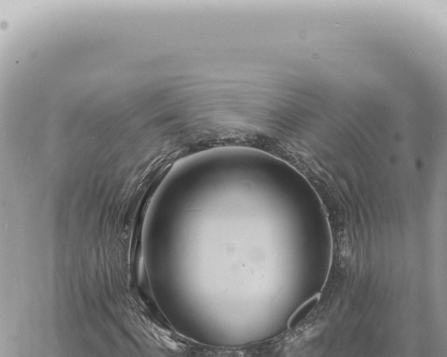 X0000060770916200511171209