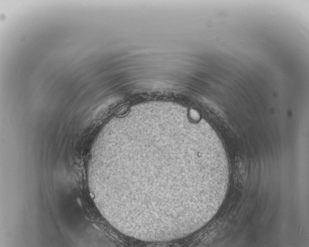 X0000060770918200511171209